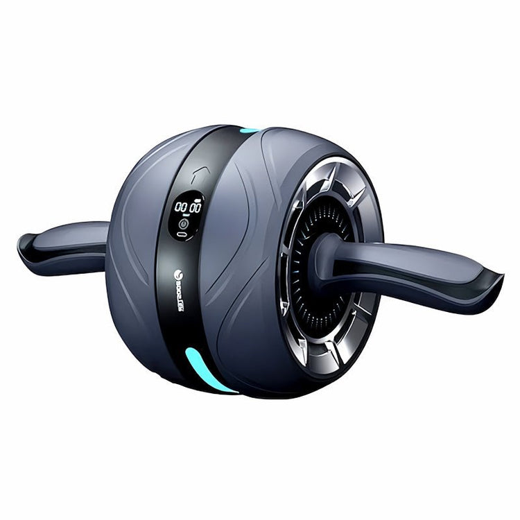 Phoenix Wheel - The Sokai Store